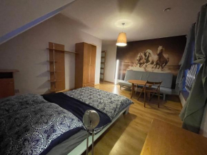 La Villa Alexandre - apartament południowy - realizujemy bon turystyczny.